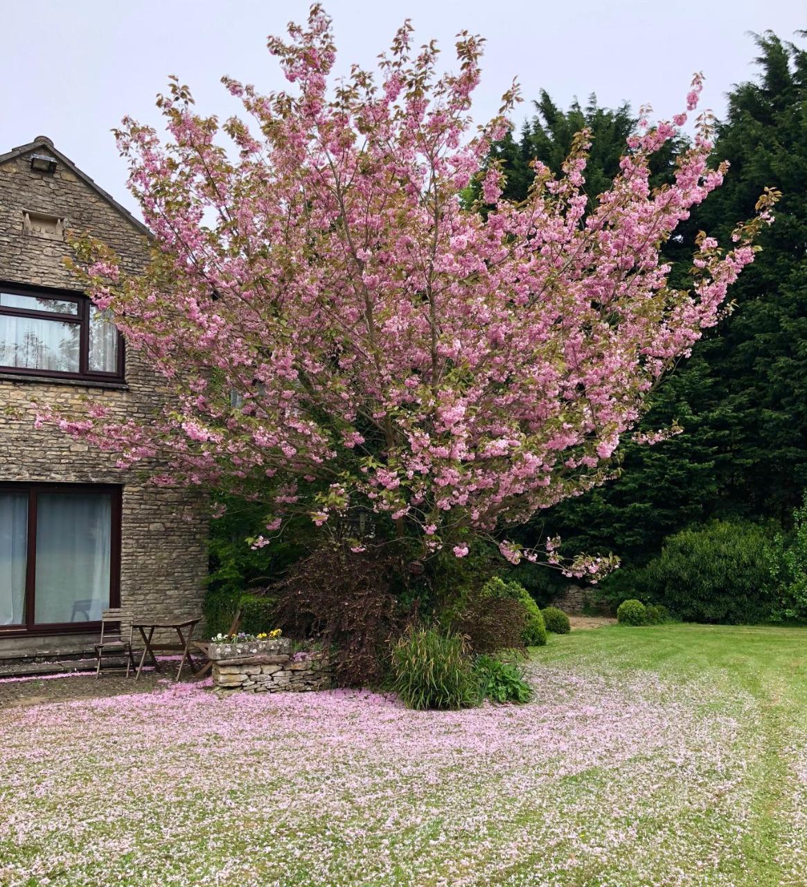 Best Western Compass Inn Tormarton Exterior foto